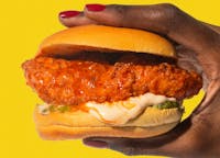 Spicy Sandwich